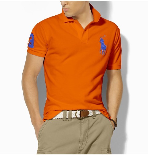 Wholesale Cheap Ralph Lauren Polo Short Sleeve Lapel Men T Shirts for Sale