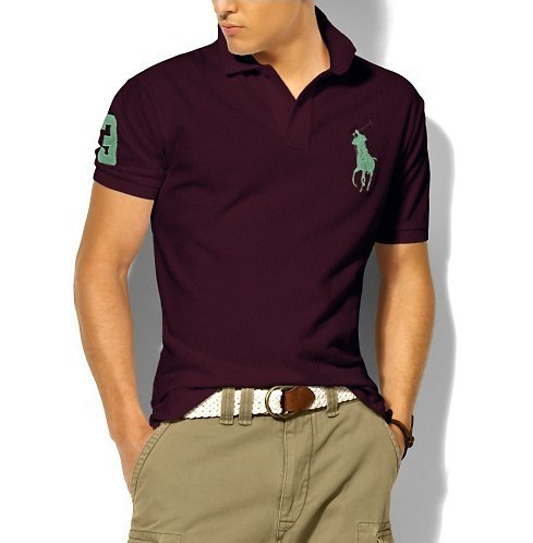 Wholesale Cheap Ralph Lauren Polo Short Sleeve Lapel Men T Shirts for Sale