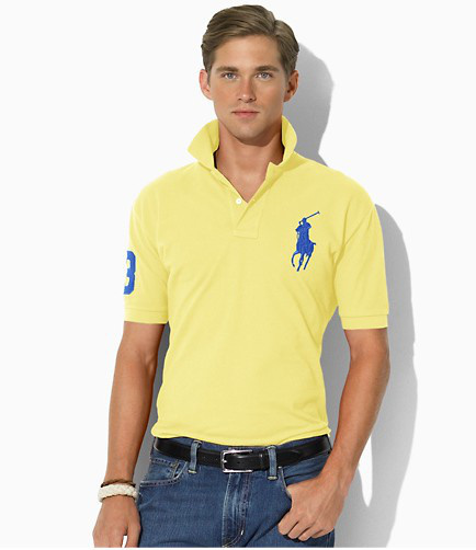 Wholesale Cheap Ralph Lauren Polo Short Sleeve Lapel Men T Shirts for Sale