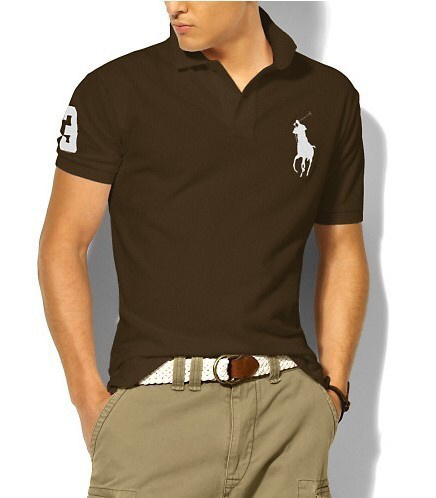 Wholesale Cheap Ralph Lauren Polo Short Sleeve Lapel Men T Shirts for Sale