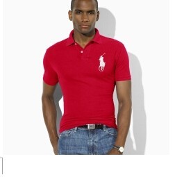 Wholesale Cheap Ralph Lauren Polo Short Sleeve Lapel Men T Shirts for Sale