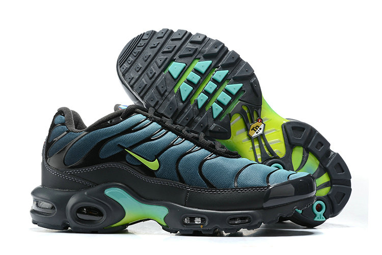 Nike Air Max Plus Iron Grey CV1636-001