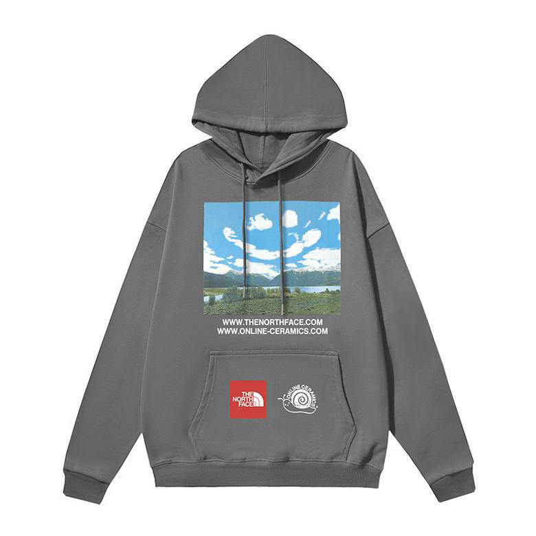 Wholesale Cheap The North Face Replica Hoodies for Sale