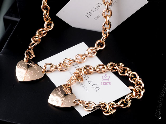 Wholesale Fashion Replica Tiffany & Co Jewelry sets for Women-265